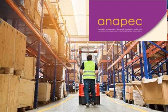 أنابيك: توظيف 314 منصب للعمل بالمستودعات برواتب تصل لـ 5000 درهم