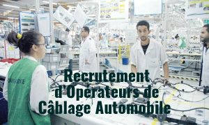 Recrutement d’Opérateurs de Câblage Automobile à