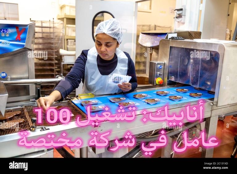 أنابيك: تشغيل 100 عامل في شركة مختصة